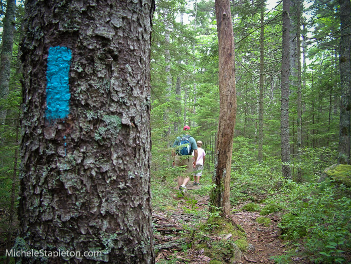 Acadia National Park Region