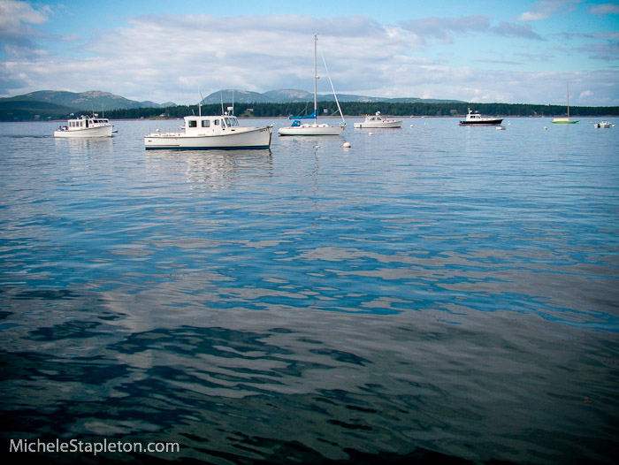 Acadia National Park Region