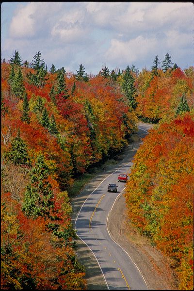 scenicroute11vert1.jpg