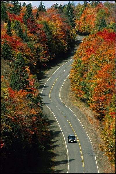 scenicroute11vert2.jpg