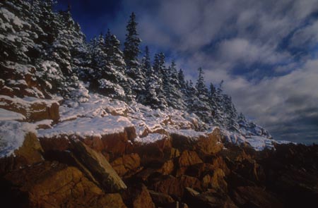 Bass Harbor snow