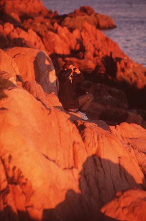 Bass_Harbor_Birdwatcher