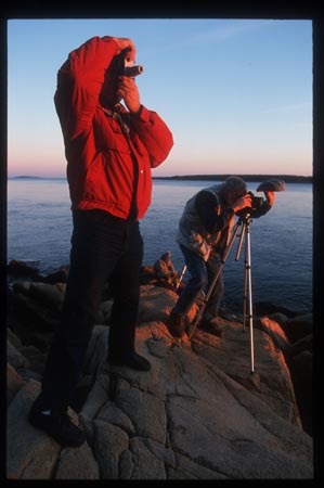 Bass_Harbor_photogs_1