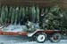 Christmas_Tree_Harvest_008