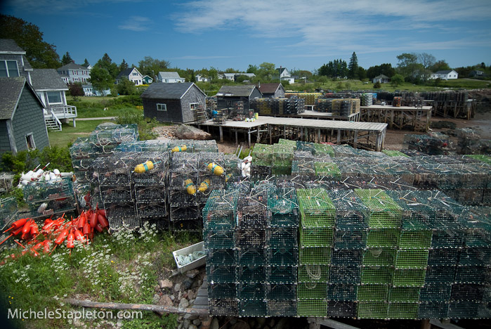 Corea Maine