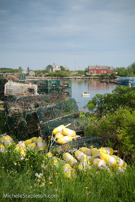 Corea Maine