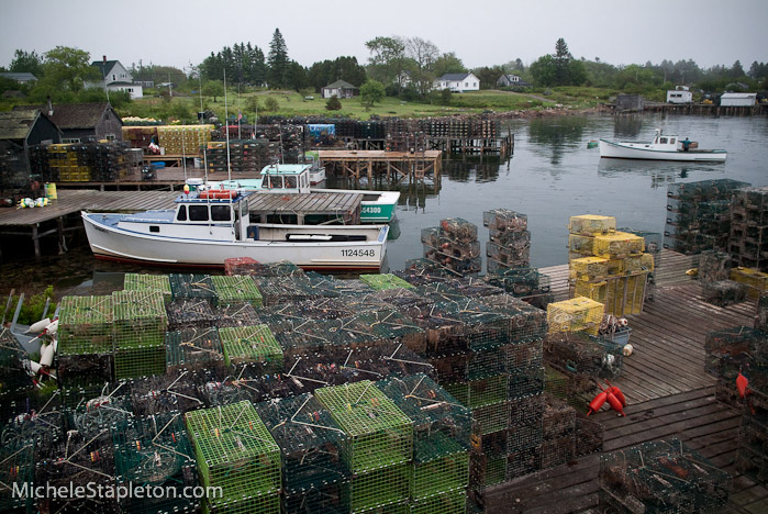 Corea Maine