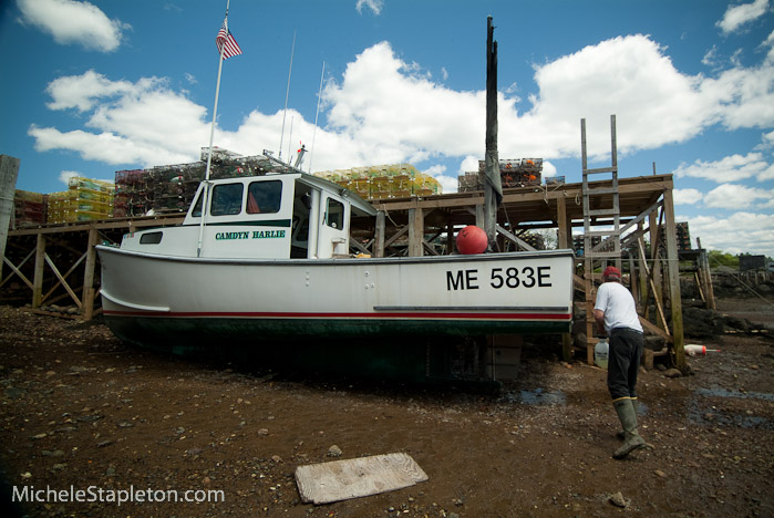 Corea Maine