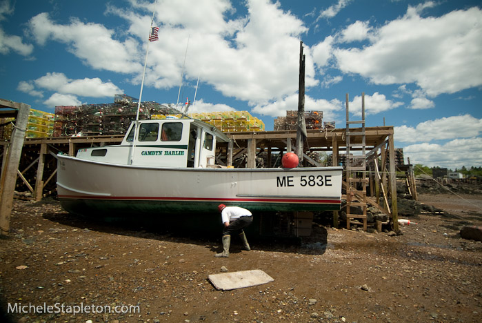 Corea Maine