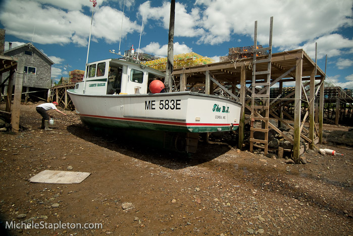 Corea Maine