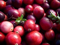 cranberries(rh)_0026