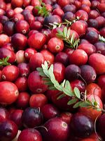 cranberries(rh)_0030a