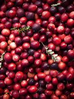 cranberries(rh)_0044