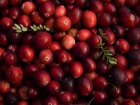 cranberries(rh)_0053a