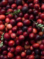 cranberries(rh)_0055a