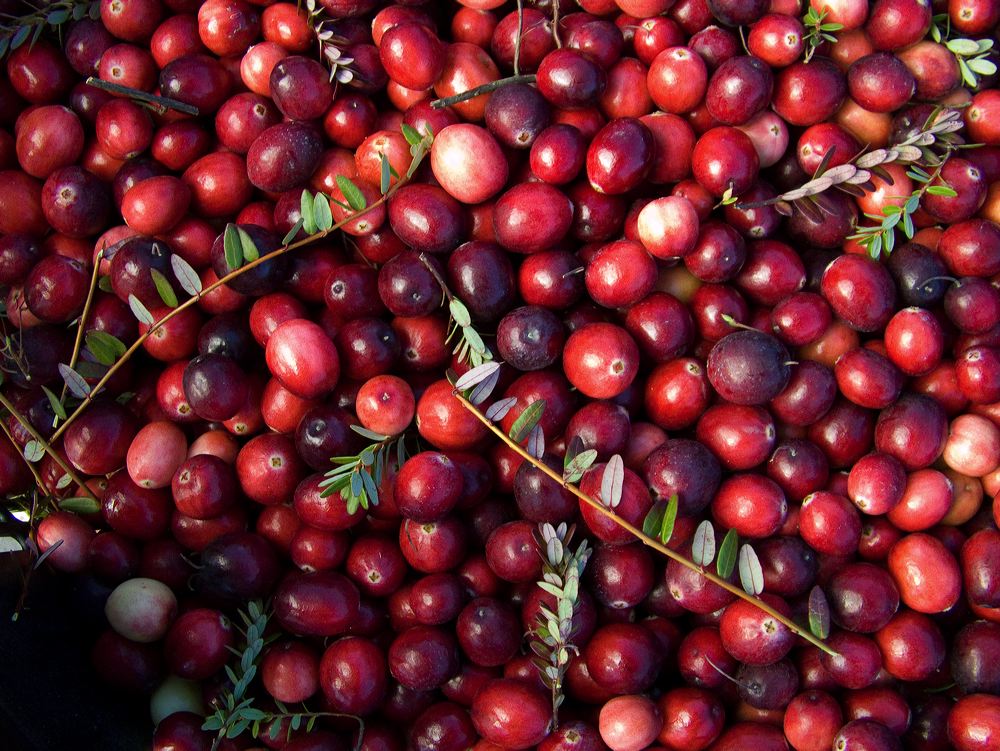 cranberries(rh)_0017.jpg