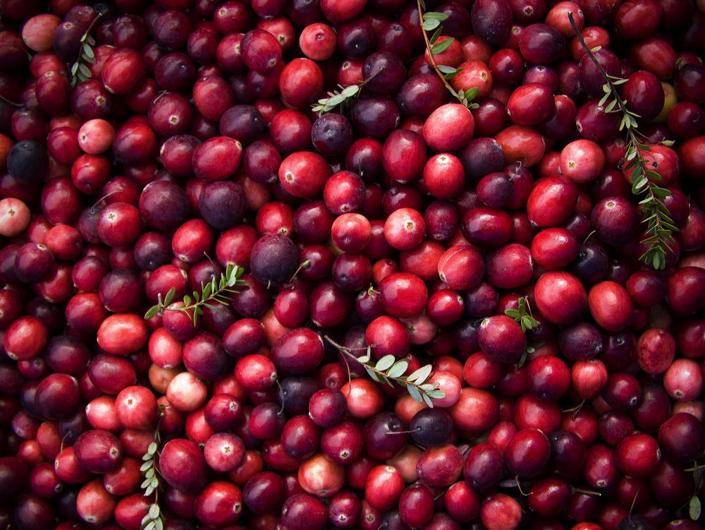 cranberries(rh)_0036.jpg