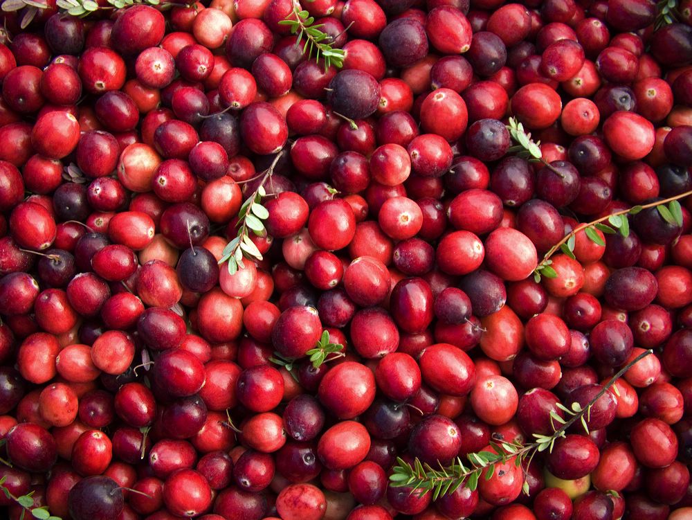 cranberries(rh)_0037a.jpg