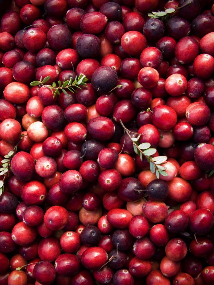 cranberries(rh)_0044.jpg