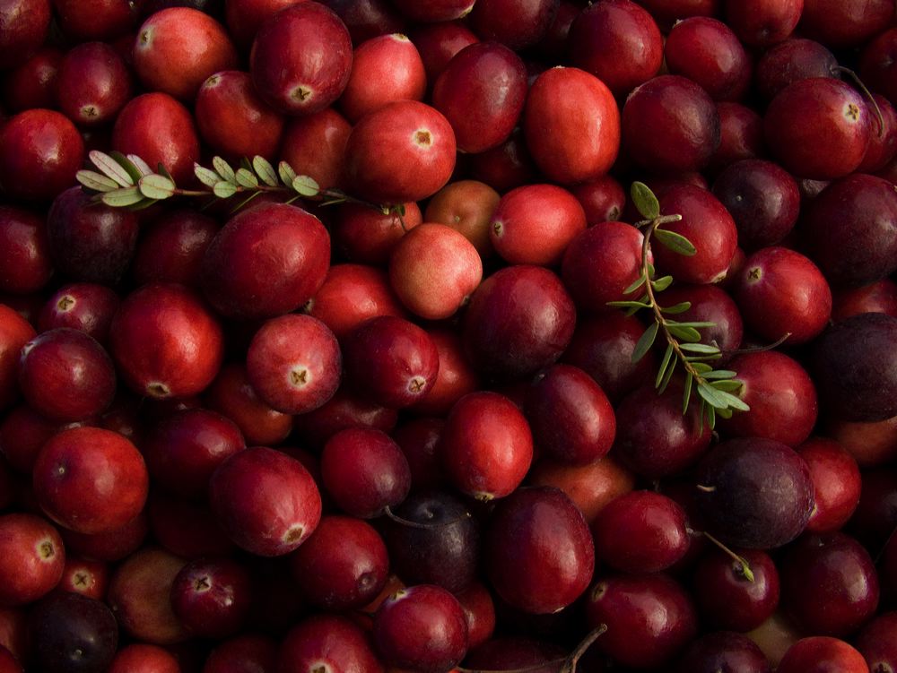 cranberries(rh)_0053a.jpg