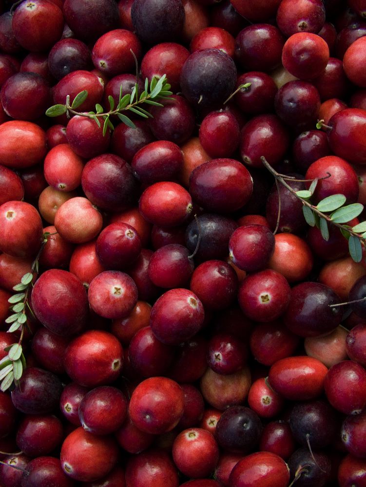 cranberries(rh)_0055a.jpg