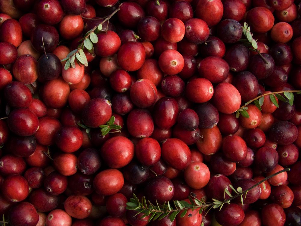 cranberries(rh)_0056.jpg