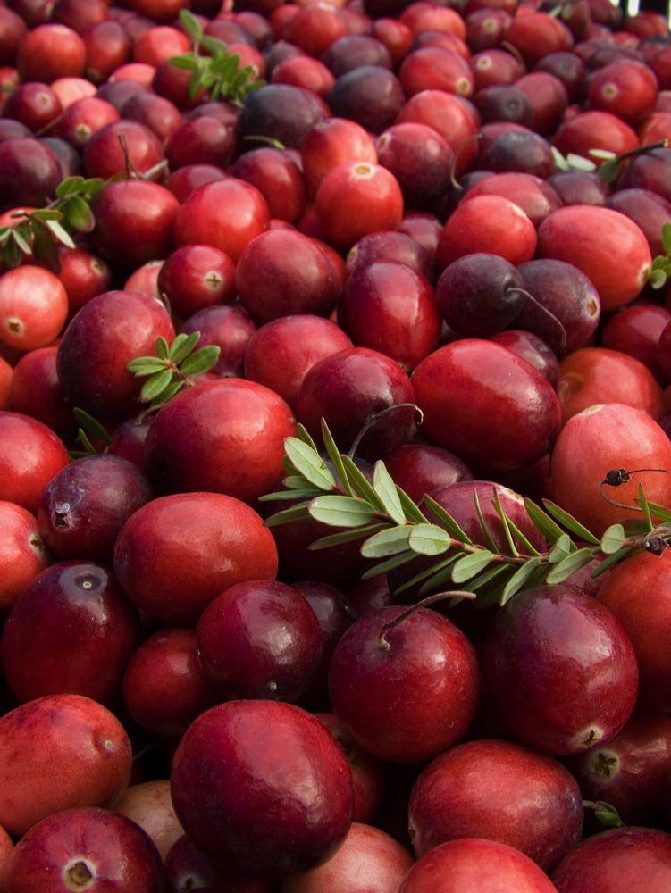 cranberries(rh)_0059.jpg