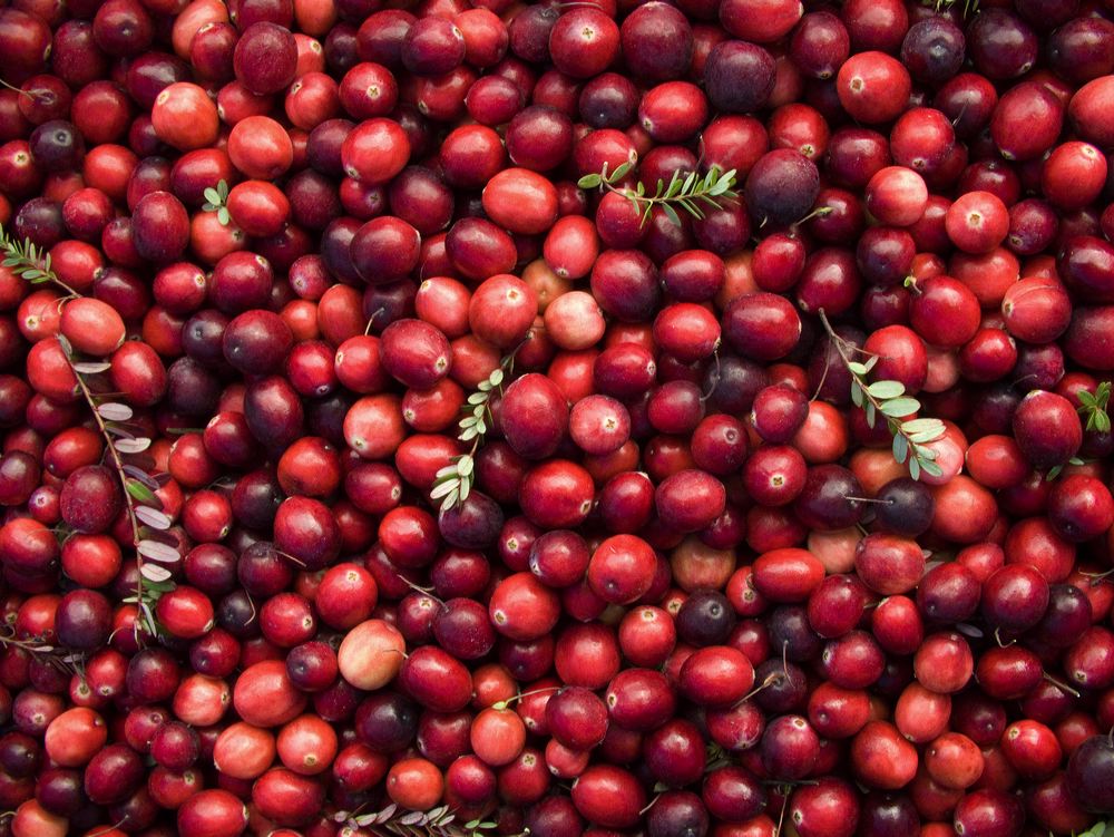 cranberries(rh)_0073.jpg