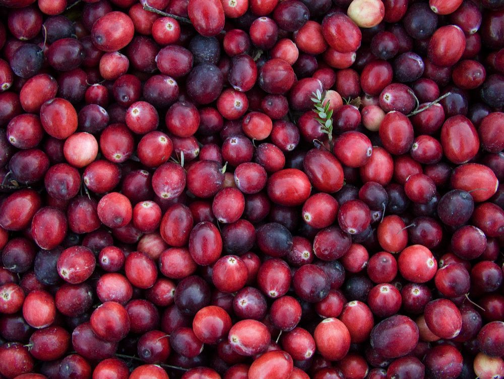 cranberries(rh)_0123.jpg