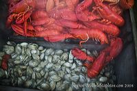 lobsterbake_5