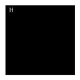 7x7_