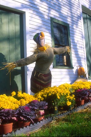 Scarecrow outside barn