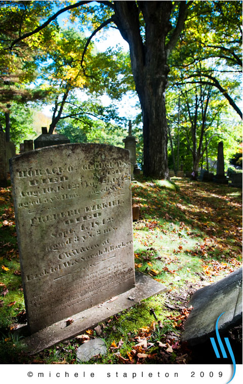 cemetarynewcastle-0861