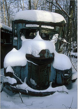 Old bus graveyard